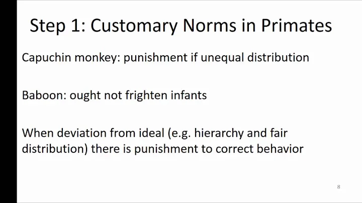 Danielle Shaffer: The Problem of Customary Law for...