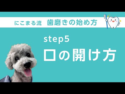 【にこまる流　歯みがきの始め方】 Step5『口の開け方』