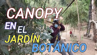 Canopy!! me subí al Canopy del Jardín Botánico de Viña en 4k