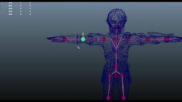 Motion Capture Rig Maya 2011