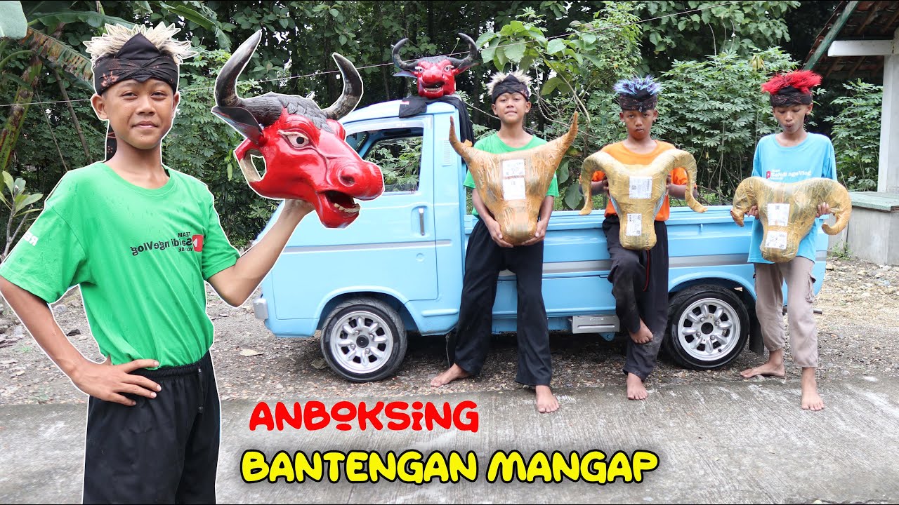 #part1 ANBOKSING BANTENGAN MANGAPAN LANGSUNG DI AJAK MBEROT KALAPAN