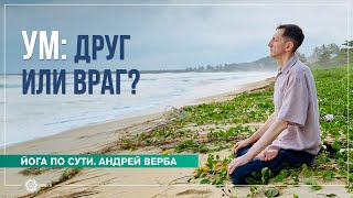 Ум: друг или враг? Андрей Верба