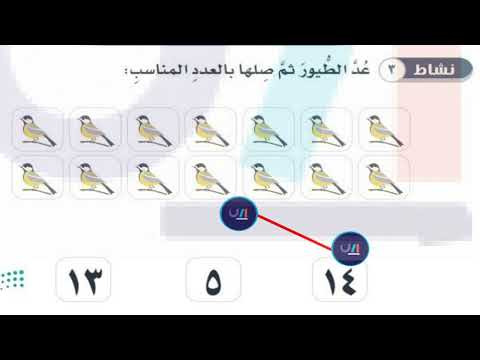 عد الطيور ثم صلها بالعدد المناسب