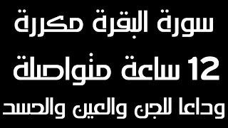 سورة البقرة مكررة 12 ساعة متواصلة بصوت مريح جدا | لحفظ البيت من العين والجن والحسد | جودة عالية