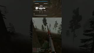 Hinterhalt ? #shorts #stalkergamma #stalker #hardcoregaming #survivalgame #wtf #gaming