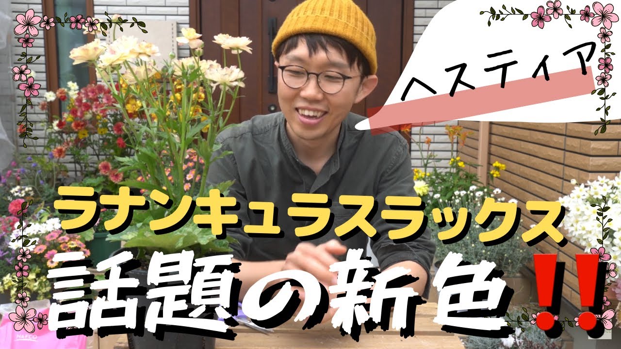 新色だよ 気になるよね ラナンキュラスラックス Youtube