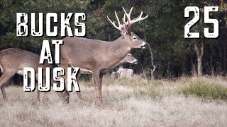 Bucks at Dusk Episode #25