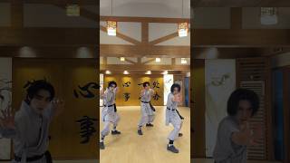 shaolin 👊 #WayV #威神V #鸢 #WayV_VisionWings #NCT_10TH_ANNIVERSARY