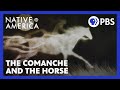 The comanche and the horse  native america  sacred stories  pbs