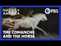 Comanche Culture and History