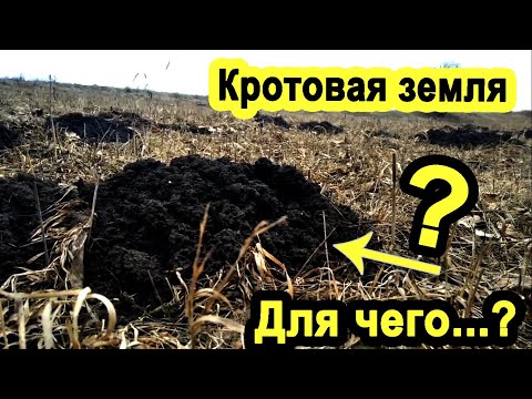 Видео: Можно ли использовать почву кротовины?