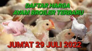 Harga Ayam Broiler Jum'at 19 Agustus 2022. 