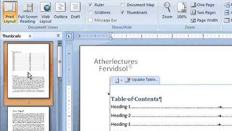 Lecture No 20 Using View Tab Ms Word 2007 Computer Training in Urdu