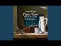 Miniature de la vidéo de la chanson Piano Trio In F-Sharp Minor, Hob Xv:26: Iii. Tempo Di Minuetto