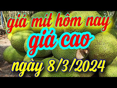 ผลสลากกินแบ่งรัฐบาล วันที่ 1 พย. 2567