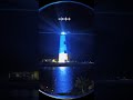 What an awesome display that can only be seen on #MSC #cruiseline #oceancay
