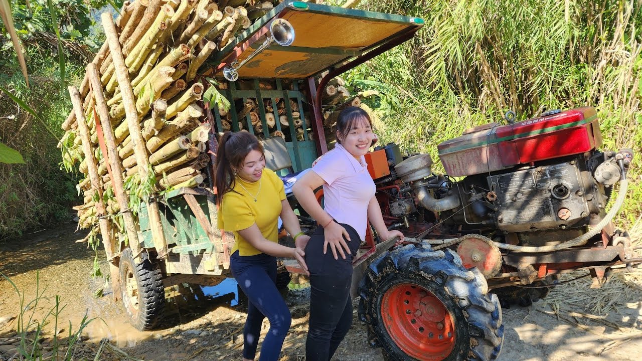 Agricultural vehicles continue to transport timber to the timber mill.