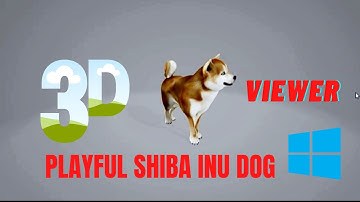 Windows 10 3D Viewer