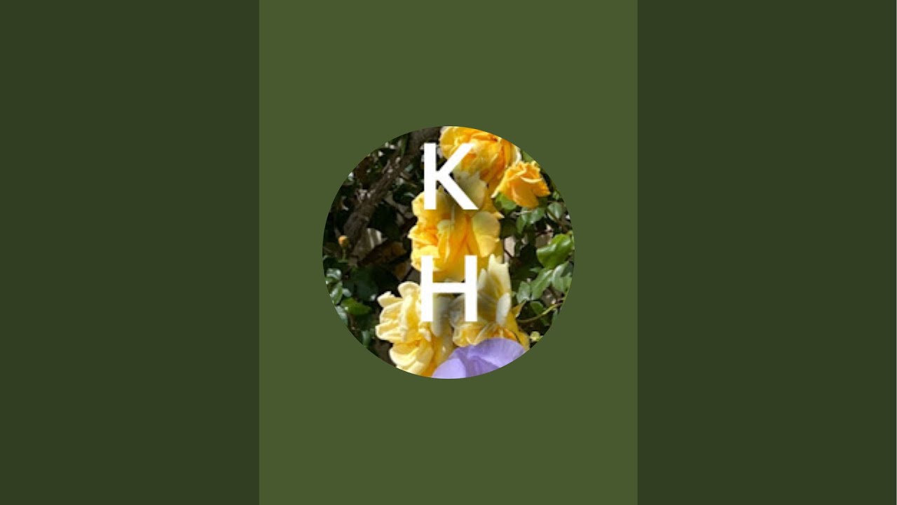 Воскресенье с Кристиной Никадимус . Отвечаю на вопросы. Шарль Де Голль  #влог #россия #франция 
