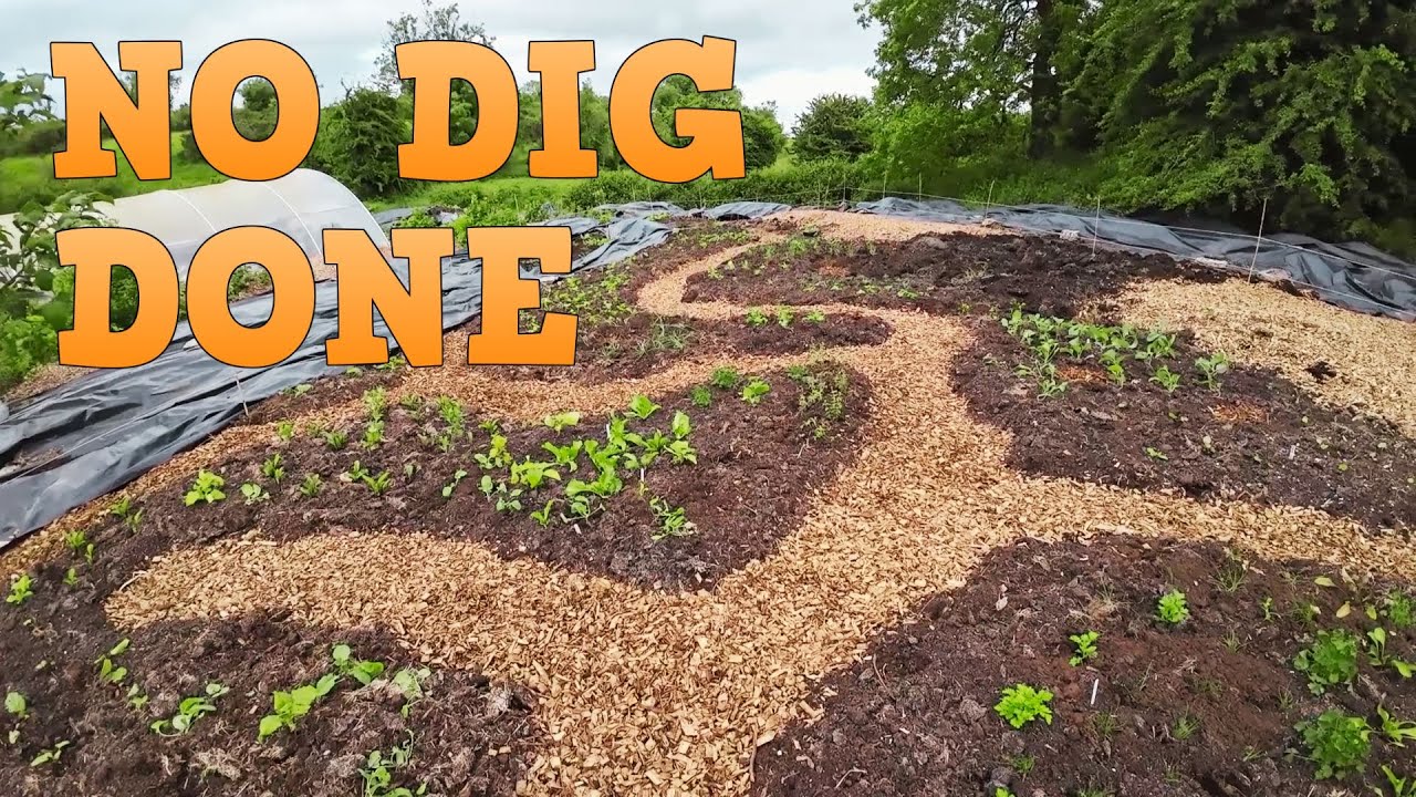 Starting a No Dig Garden- EP7 - Paths & Finishing Touches - YouTube