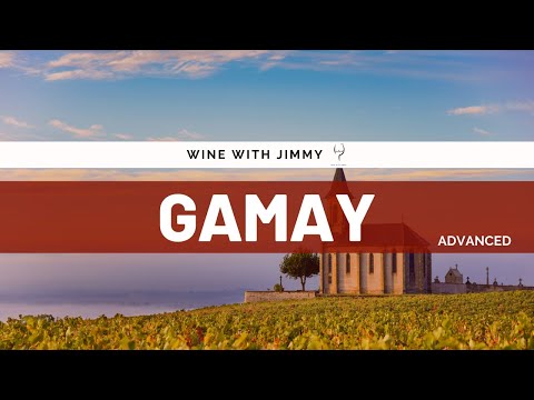 Grape Varieties - Gamay Noir a Jus Blanc Advanced ideal for WSET Level 3 and Level 4 (WSET Diploma)