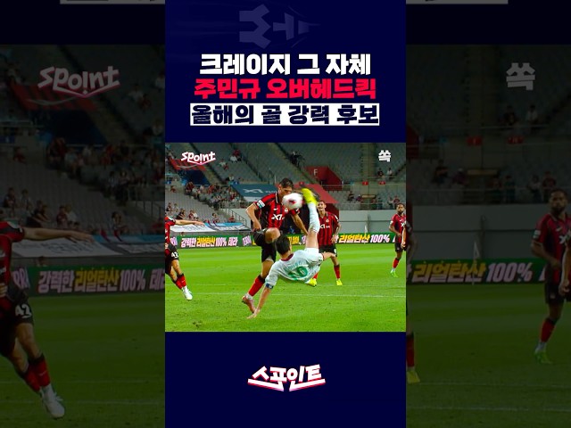 [스포인트] ‘형 미쳤어?’… 주민규의 크레이지 오버헤드킥 /YTN