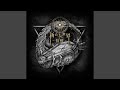 天狼星-Sirius