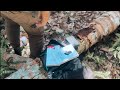 [Relaxing] Relaksasi Membaca di Pohon Tumbang (Suara Burung, Jangkrik dan Ketenangan Alam)
