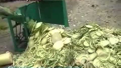 Máy thái chuối, Máy Thái cây chuối, Sunlike vn