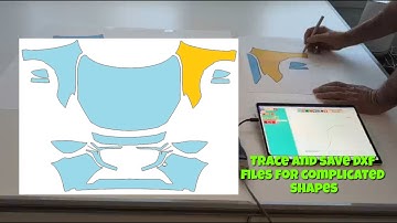 How can I get an accurate vector file of a complex pattern?