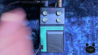 アイバニーズ　STL mqdefault.jpg