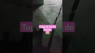 Togg Sel Den Telef Olmuş