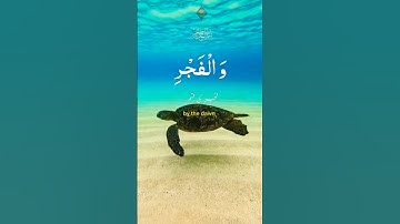 Quran  "Surah Al-Fajr" (سورة الفجر)#quran #islam #islamicvideo #viralvideo #viralshort