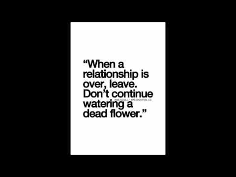 შენგან აღარაფერი მწყინს ◔ ⌣ ◔