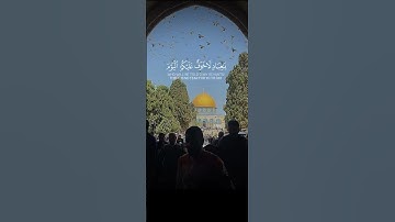 سورة الزخرف بصوت القارئ محمد صديق المنشاوي 🍃🤍 🤍