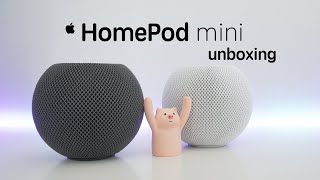  Homepod Mini (Black & White) Unboxing