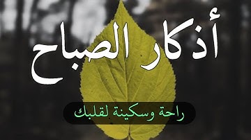 اذكار الصباح بصوت يريح قلبك راحه نفسيه💚حصن نفسك وبيتك اذا قلته كفاك الله من كل شر ورزقك رزقا كثير