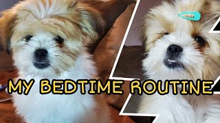 Pomeranian Shih Tzu's Bedtime Routine | What cleaning products I use