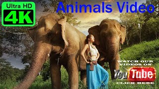 Красивые Животные Мира 4К Видео Релакс И Прекрасная Природа#Красивыеживотные#Природа#4K#Видеорелакс#