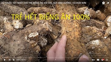 CỦ THUỐC TỐT NHẤT CHO TRẺ BIẾNG ĂN, CÒI CỌC, SUY DINH DƯỠNG - CỦ HOÀI SƠN