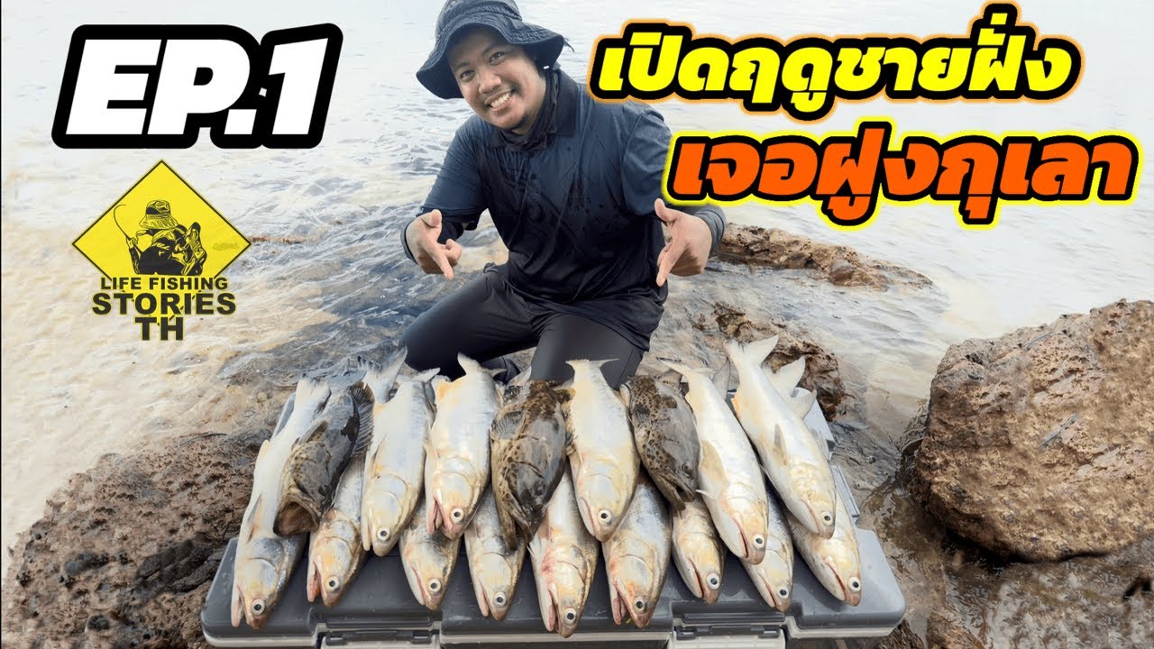 เปิดฤดูชายฝั่ง เจอฝูงกุเลา เดือด อย่างมันส์ EP.1  [ LFST ตีเหยื่อปลอมชายฝั่ง73] Shore fishing lures.