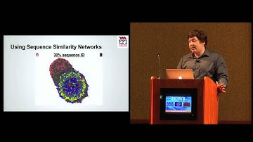 Sequence Similarity Networks for the "Protein Universe"