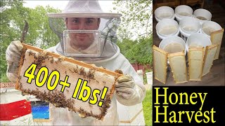 400+ Pounds of Raw HONEY: How to Harvest Honey