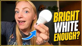 Is this TJOY daylight LED bulb right for your home