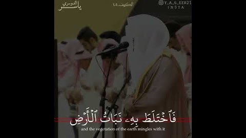 (واضرب لهم مثل الحياة الدنيا) تلاوة رائعة للشيخ ياسر الدوسري .من سورة الكهف.جامع الدخيل