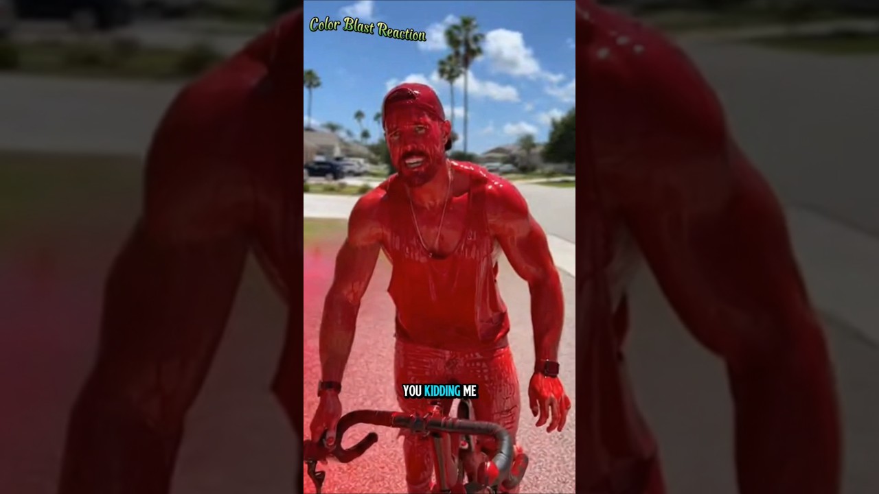 Внутри этой посылки был сюрприз 😂 