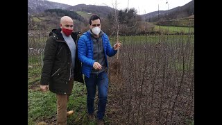 Zubialde Patxakak- Aquí La Tierra