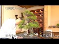真柏改作 2 「改作」