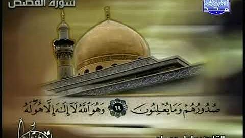 عادل مسلم ما تيسر من سورة القصص