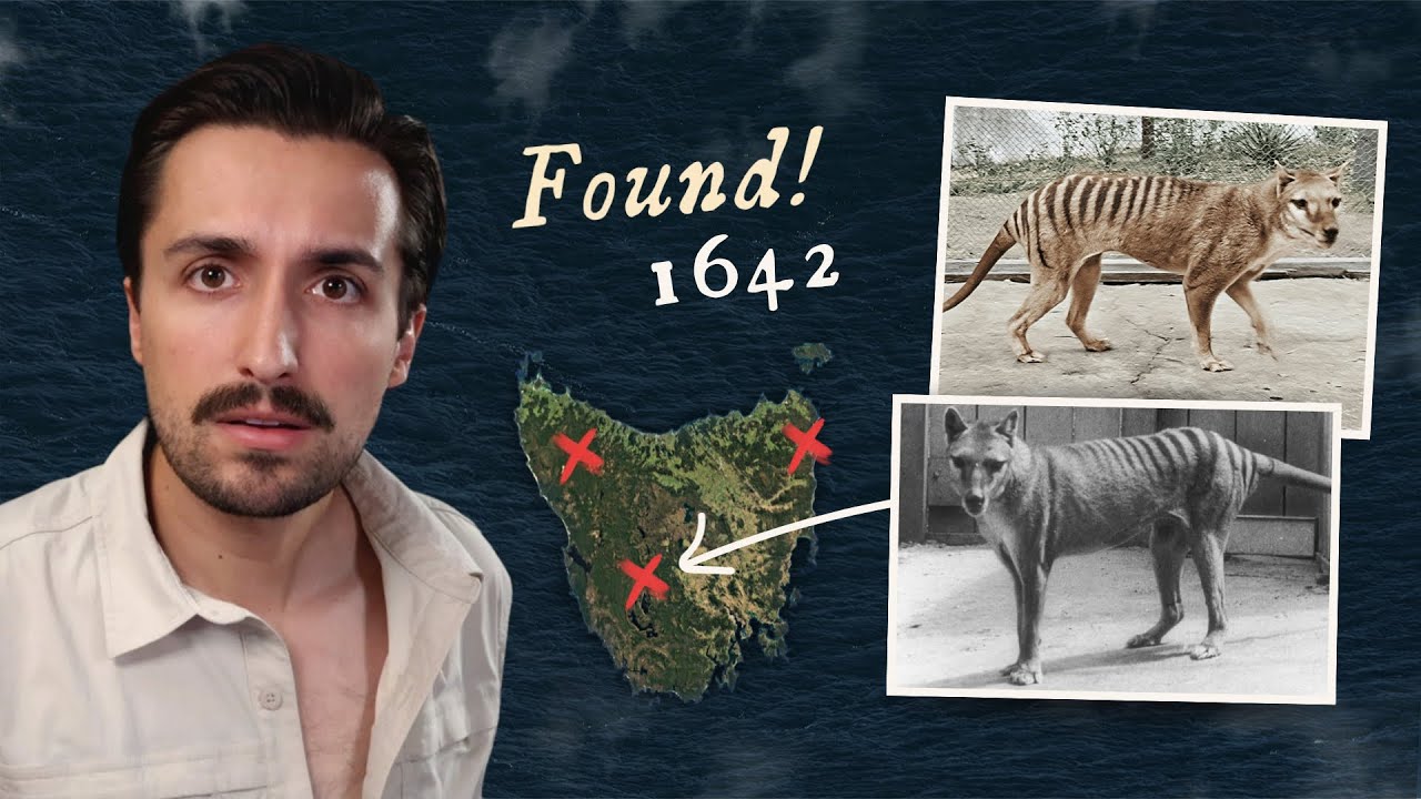 The Last Tasmanian Tigers... & the Explorers who saw them